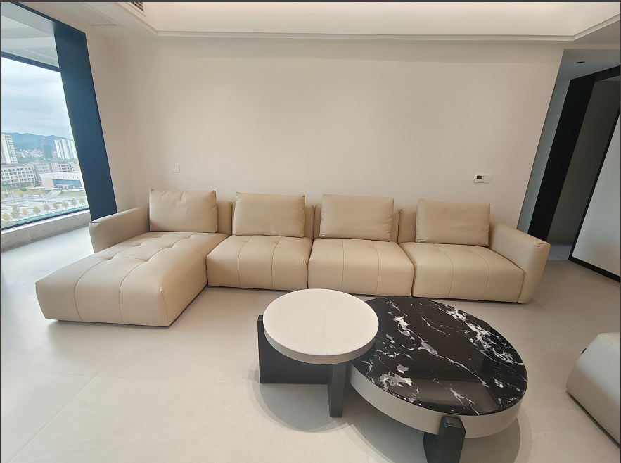 碧桂园13栋沙发效果图