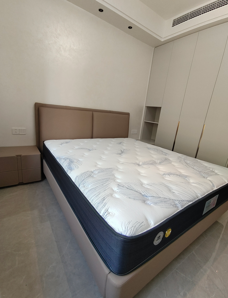 力高5栋床入户效果图